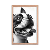 Overjoyed Boston Terrier Dog Framed Poster