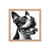 Overjoyed Boston Terrier Dog Framed Poster