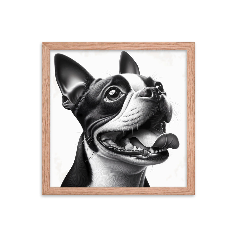 Overjoyed Boston Terrier Dog Framed Poster