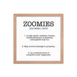 Zoomies Definition Framed Poster