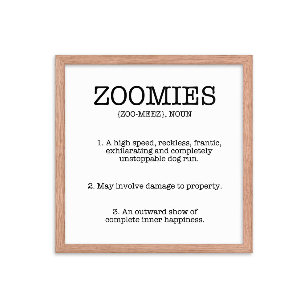 Zoomies Definition Framed Poster
