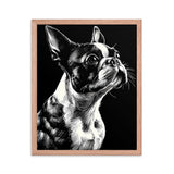 Boston Terrier Line Art Framed Poster