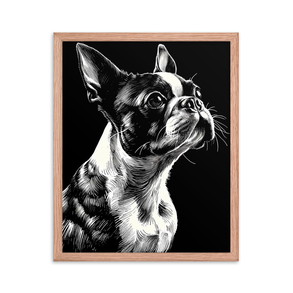 Boston Terrier Line Art Framed Poster
