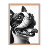 Overjoyed Boston Terrier Dog Framed Poster
