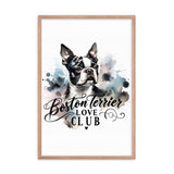 Elegant Watercolor Boston Terrier Art Framed Poster - Boston Terrier Love Club