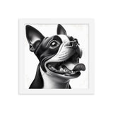 Overjoyed Boston Terrier Dog Framed Poster