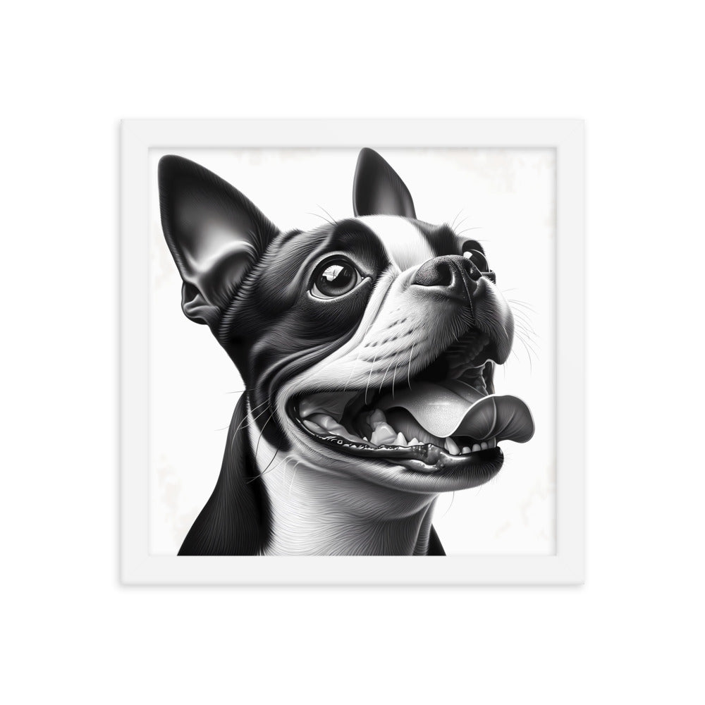 Overjoyed Boston Terrier Dog Framed Poster