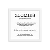 Zoomies Definition Framed Poster