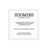 Zoomies Definition Framed Poster