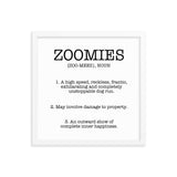 Zoomies Definition Framed Poster