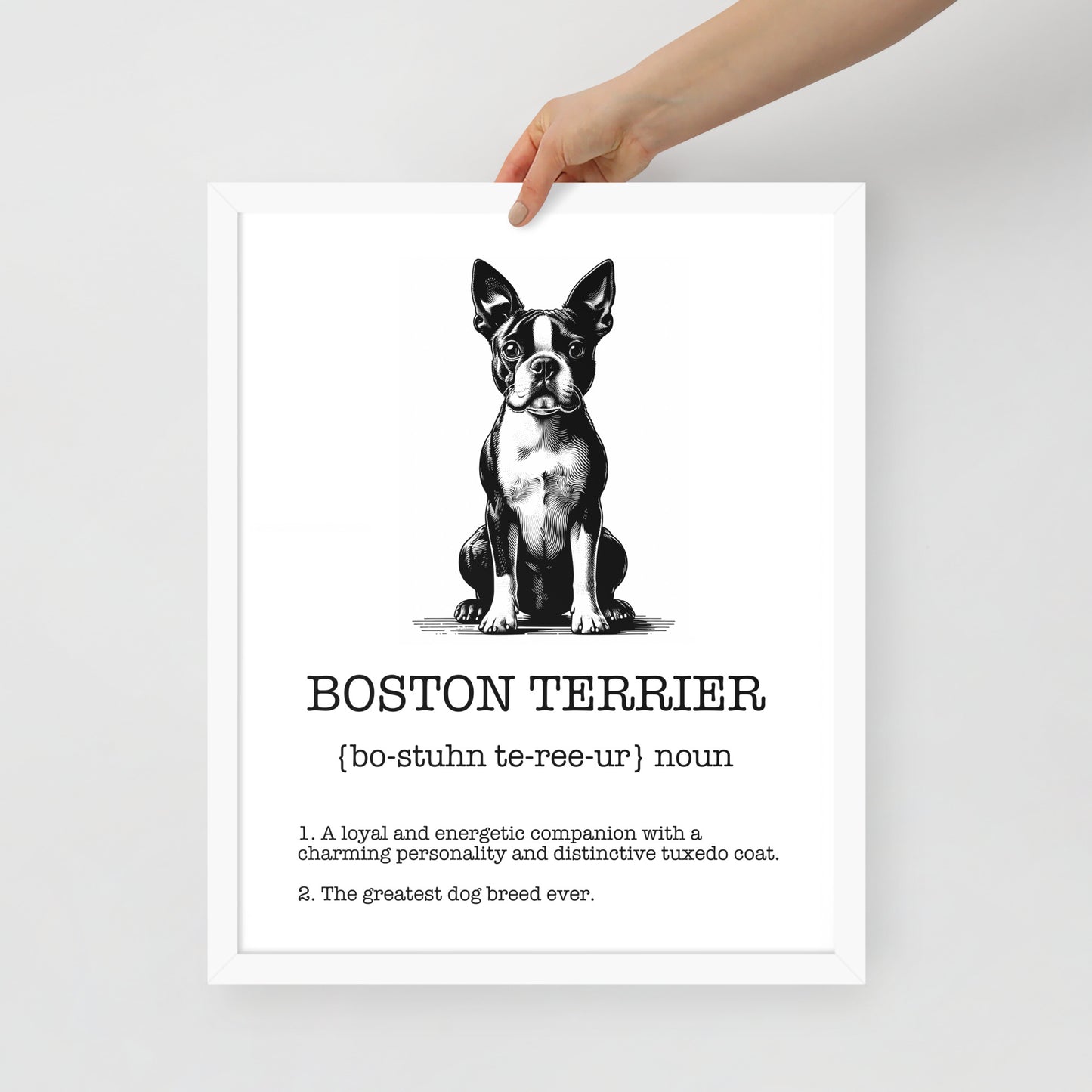 Boston Terrier Definition Framed Poster