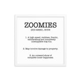 Zoomies Definition Framed Poster