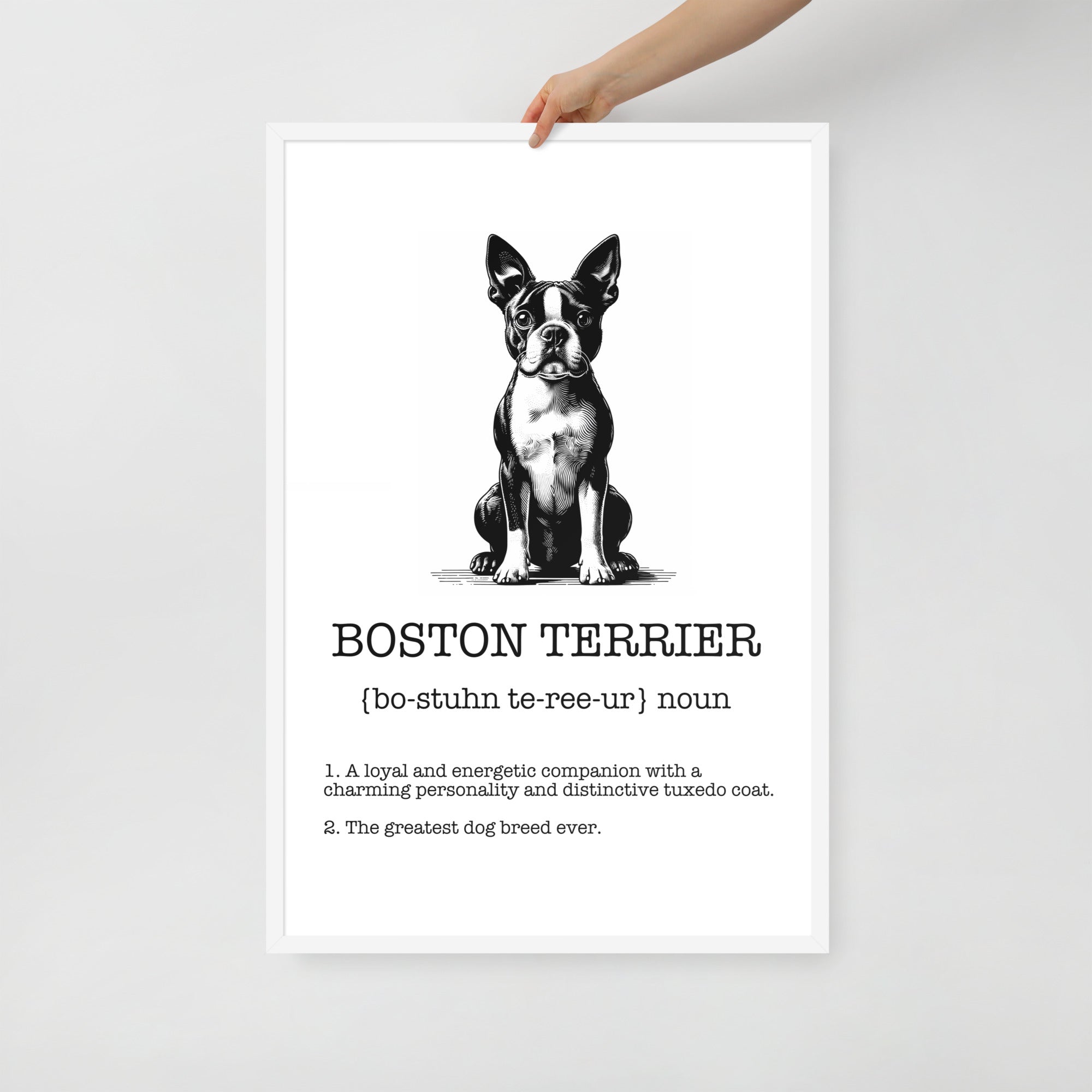 Boston Terrier Definition Framed Poster