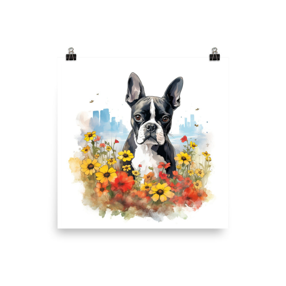Boston Terrier Dog In A Garden Outside The City Poster