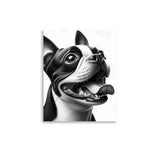 Overjoyed Boston Terrier Dog Poster