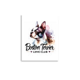 Boston Terrier Love Club - Elegant Watercolor Boston Terrier Art Poster
