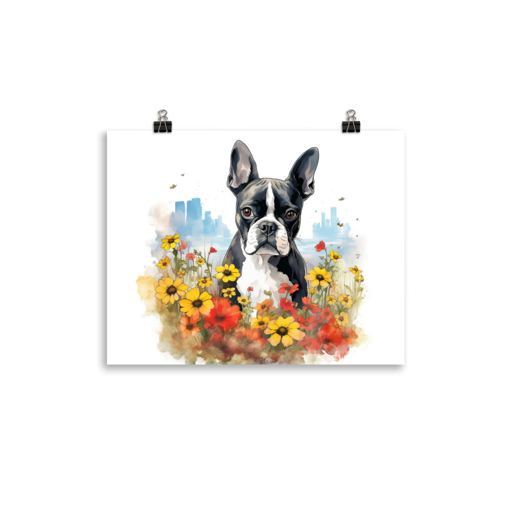 Boston Terrier Dog In A Garden Outside The City Poster