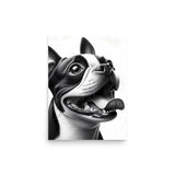 Overjoyed Boston Terrier Dog Poster