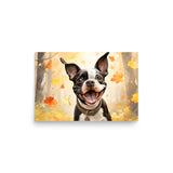 Cheerful Boston Terrier Dog Exploring A Park Watercolor Poster