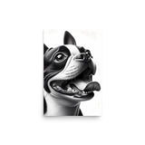 Overjoyed Boston Terrier Dog Poster