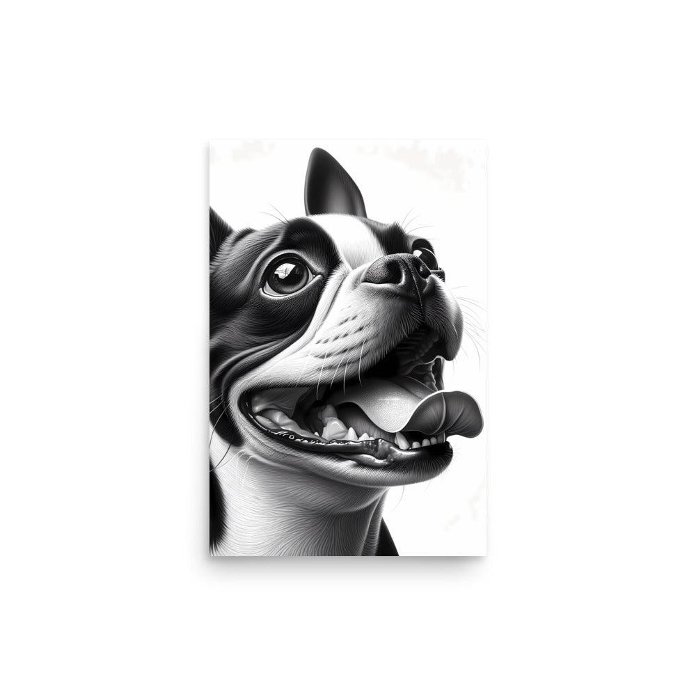 Overjoyed Boston Terrier Dog Poster