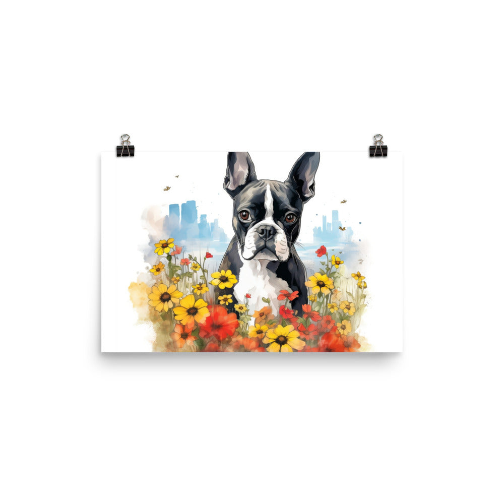 Boston Terrier Dog In A Garden Outside The City Poster
