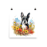 Boston Terrier Dog In A Garden Outside The City Poster