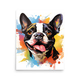 Colorful Playful Boston Terrier Dog Splash Art Poster