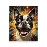 Zoomies Excitement Boston Terrier Dog Poster