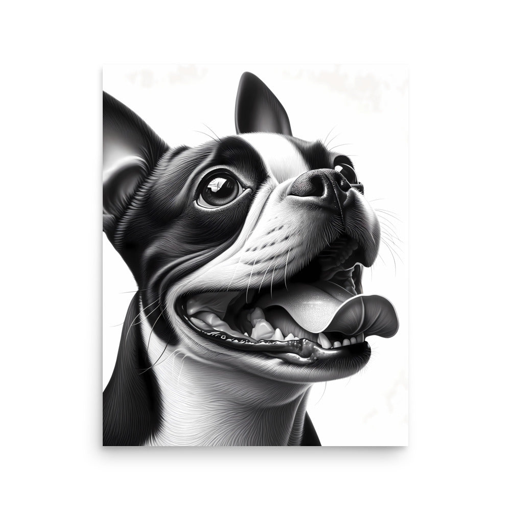 Overjoyed Boston Terrier Dog Poster