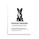 Boston Terrier Definition Poster