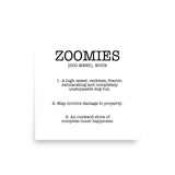 Zoomies Definition Poster