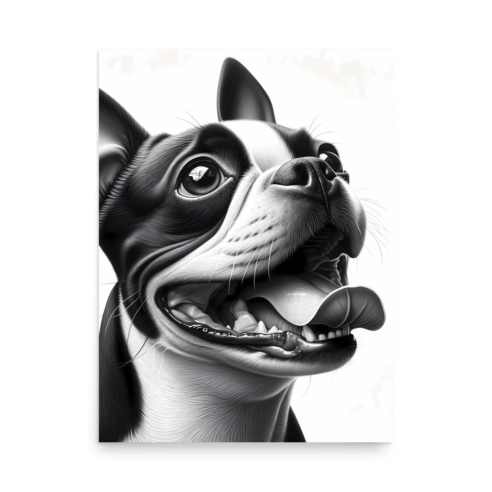 Overjoyed Boston Terrier Dog Poster
