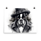 Boston Terrier Gentleman on Poster