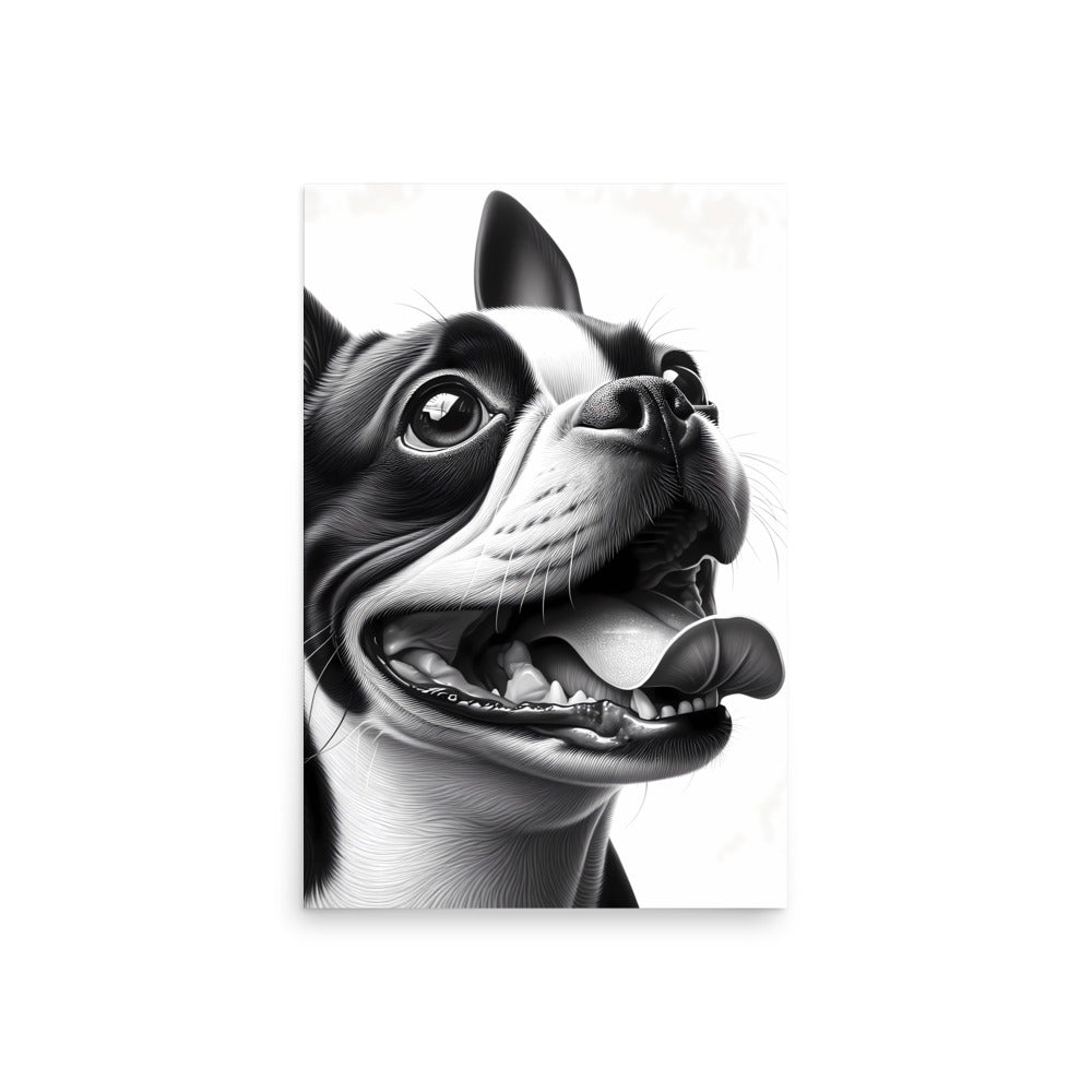 Overjoyed Boston Terrier Dog Poster