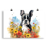 Boston Terrier Dog In A Garden Outside The City Poster