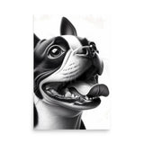 Overjoyed Boston Terrier Dog Poster