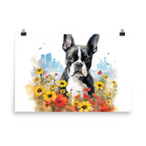 Boston Terrier Dog In A Garden Outside The City Poster