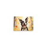 Cheerful Boston Terrier Dog Exploring A Park Watercolor Poster