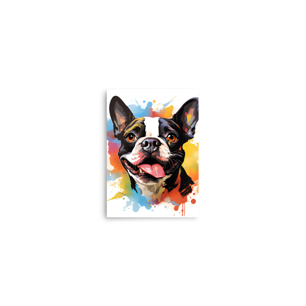 Colorful Playful Boston Terrier Dog Splash Art Poster