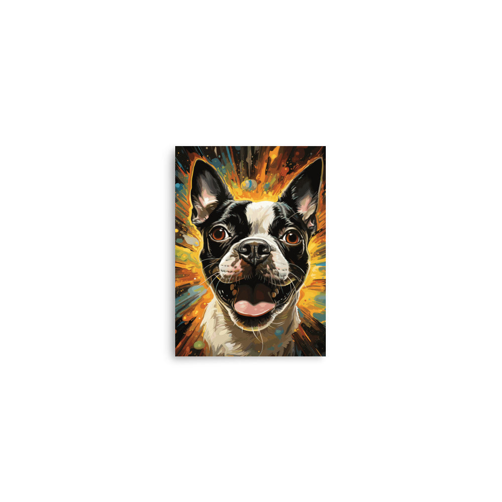 Zoomies Excitement Boston Terrier Dog Poster