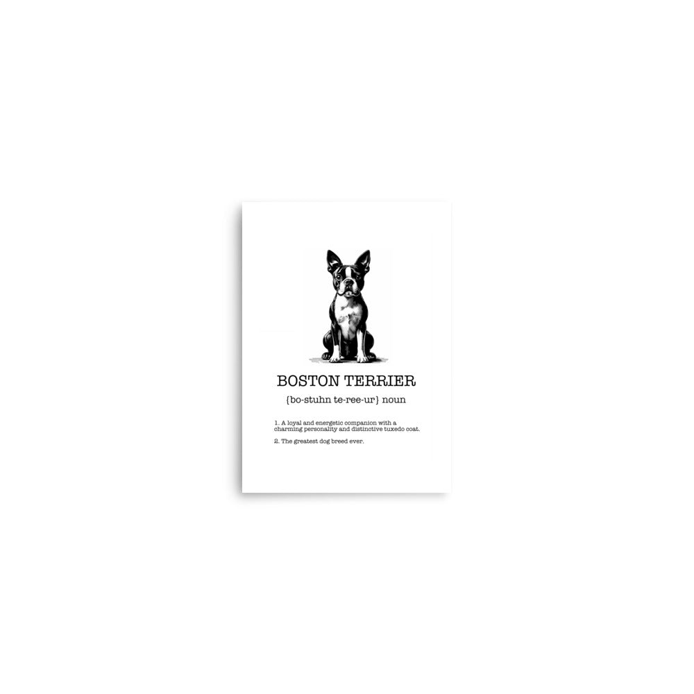 Boston Terrier Definition Poster