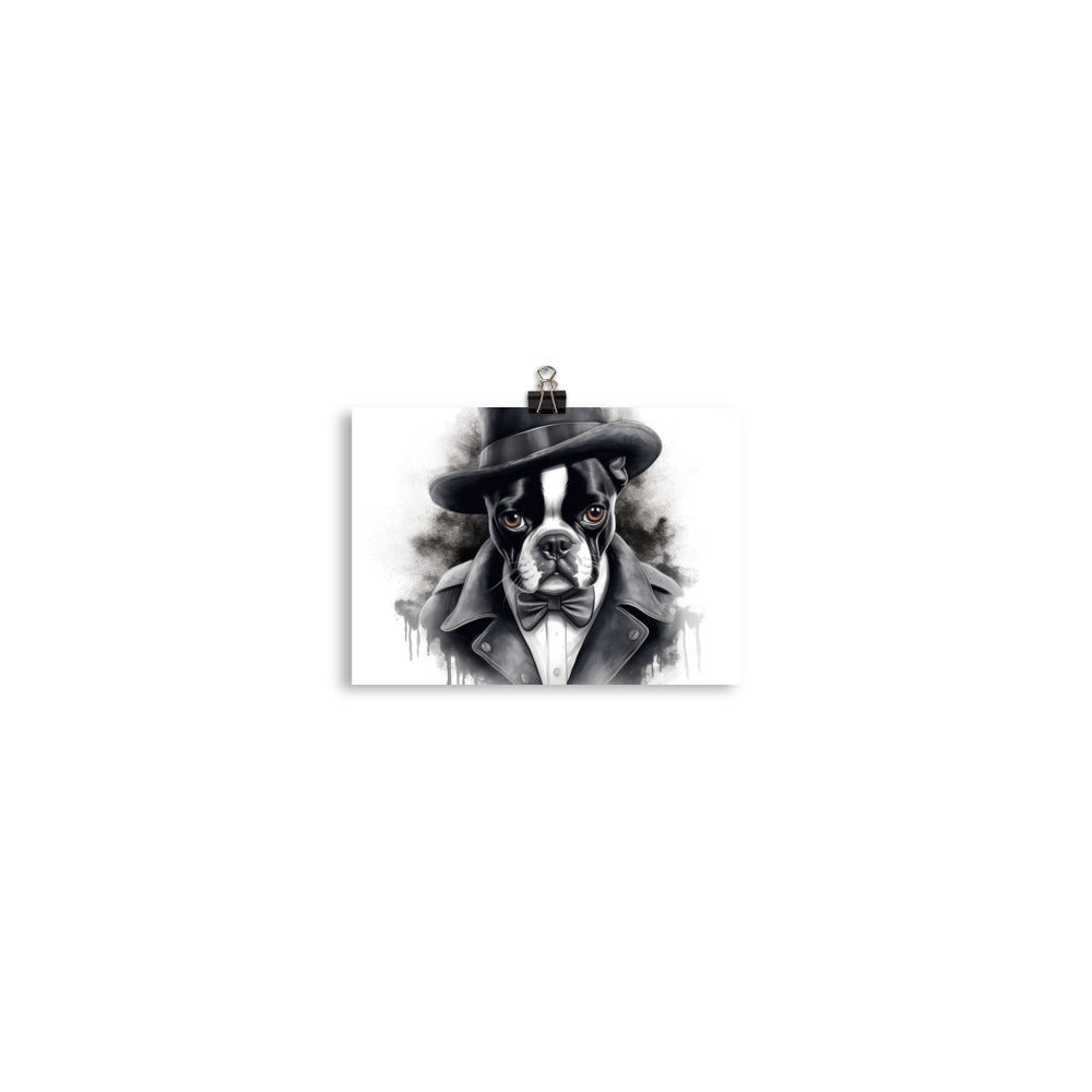 Boston Terrier Gentleman on Poster