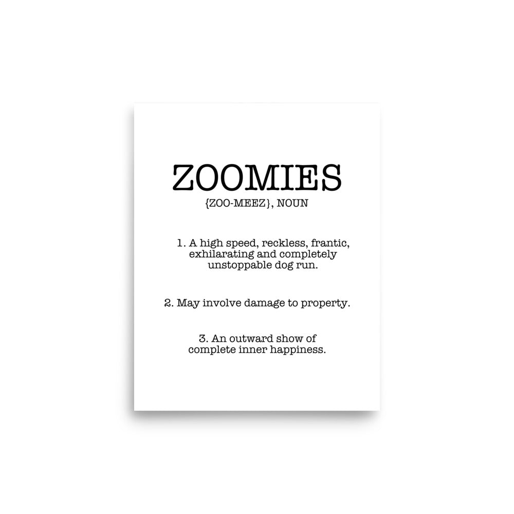 Zoomies Definition Poster