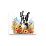 Boston Terrier Dog In A Garden Outside The City Poster