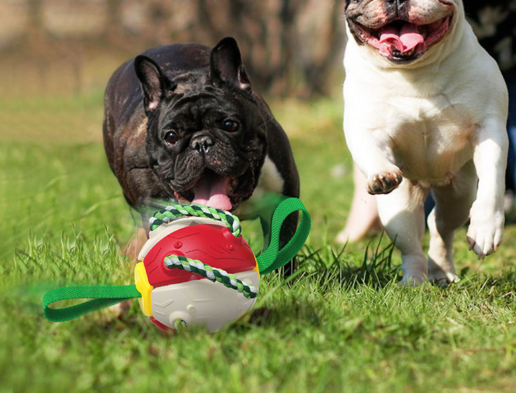 Interactive Dog Soccer Ball With Tabs Outdoor Training Toy