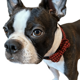 Buffalo Plaid Dog Collar with Bow Tie