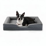 Dog lying on a gray pet bed with a white background