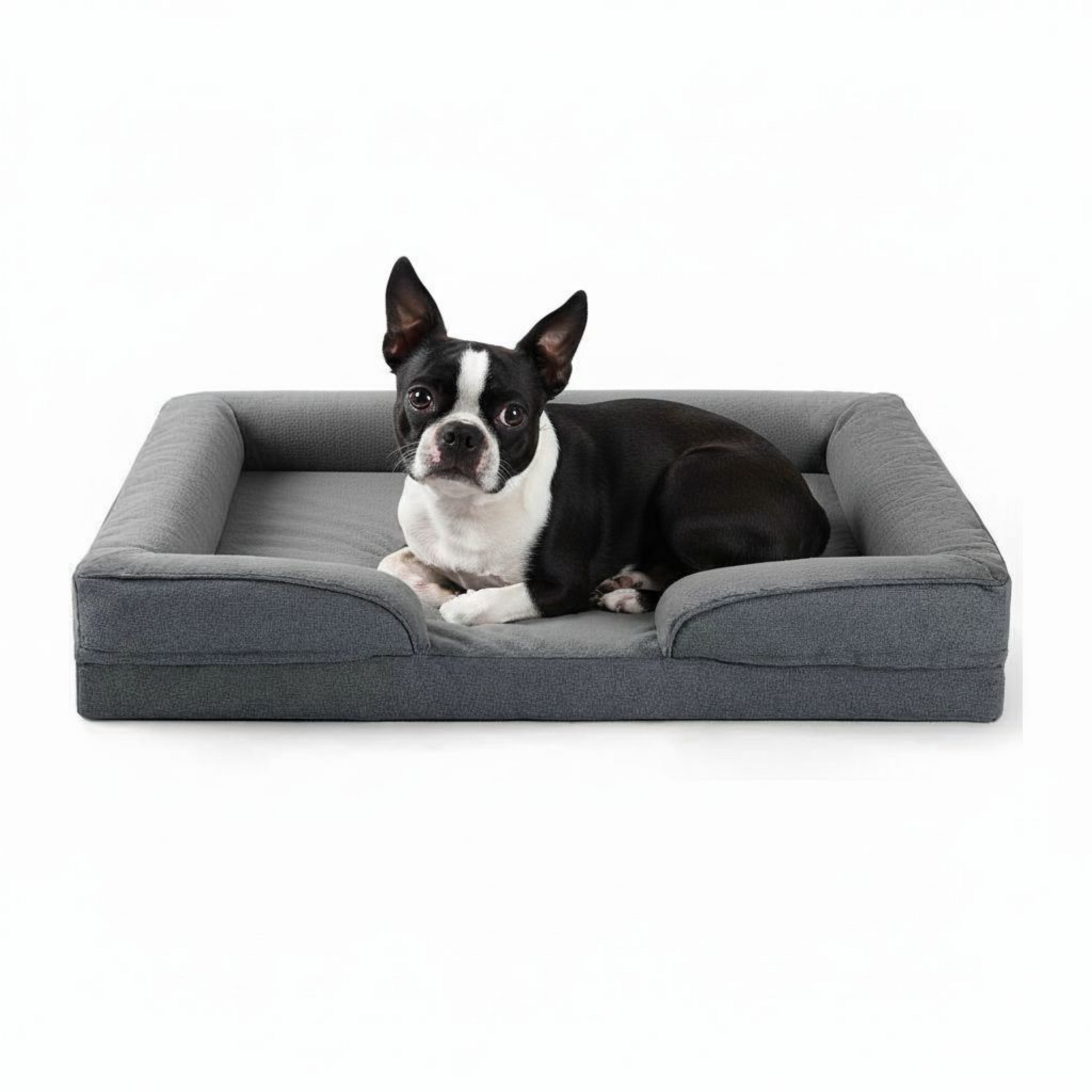 Dog lying on a gray pet bed with a white background