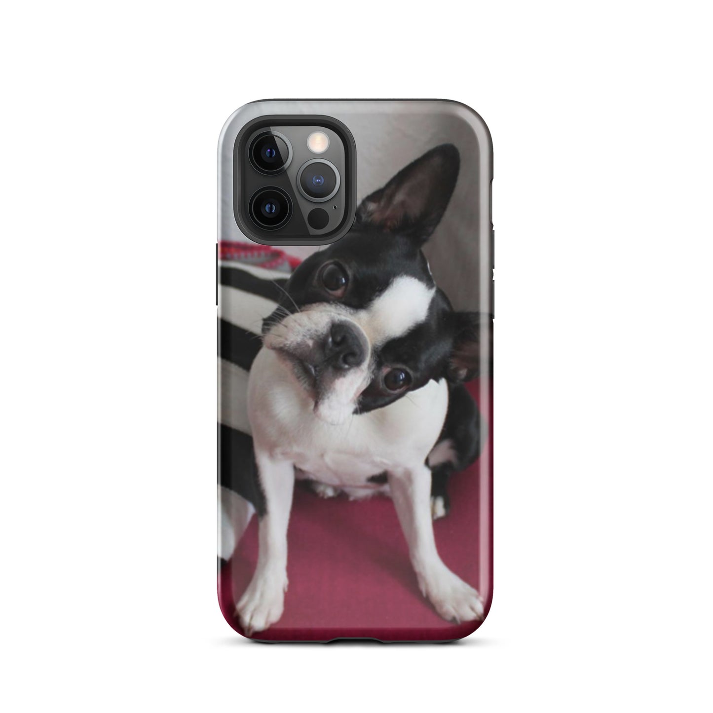 Custom Boston Terrier Tough Phone Case for iPhone